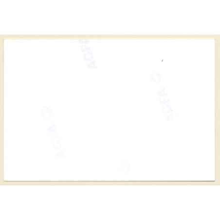 Erotic Study Leggy Darkhaired Nude On Matress 2 Nylons Vintage Photo 1990s