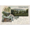 Rotstein bei Reichenbach / Oberlausitz: Mountain Restaurant & Tower (Vintage PC Litho 1905)