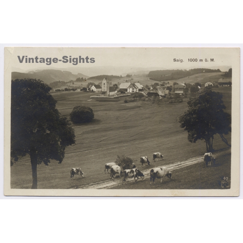 Saig (Black Forest) / Germany: Lenzkirch Titisee Panorama Cows (Vintage RPPC ~1920s/1930s)