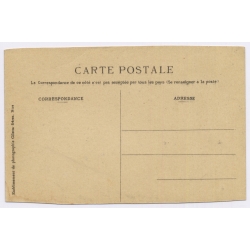 Nice / France: Carnival Char Un Atterrissage Mouvementé Ludovic Isnart Flying Pig (Vintage PC 1909)