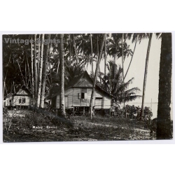 Malaysia: Malay House Traditional Village Palms (Vintage RPPC ~1920s/1930s)