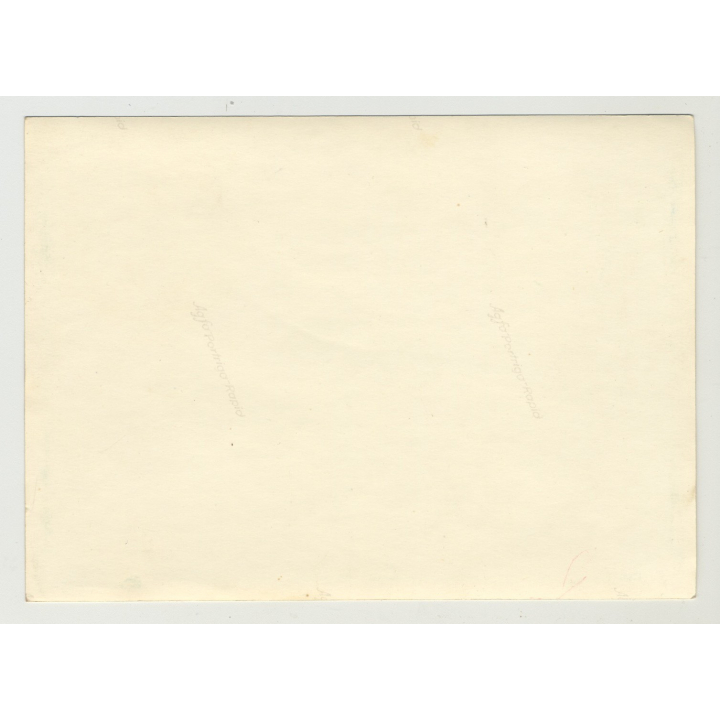 Binnenschlepper Albert II / Barge Albert II (Vintage Photo: Germany 1950s)