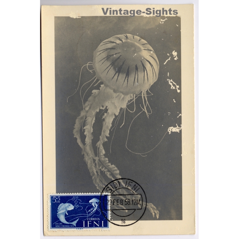 Colony Of Ifni / Spain: Jellyfish Sidi Ifni Postmark Maximum Card (Vintage RPPC 1958)