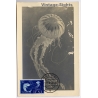 Colony Of Ifni / Spain: Jellyfish Sidi Ifni Postmark Maximum Card (Vintage RPPC 1958)