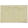 Carnaval de Chalon 1924 / France: Char des Reines Les Fleurs de Chalon Float (Vintage PC)