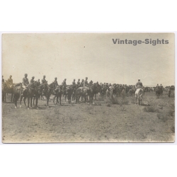 Morocco Rif War: Spanish Cavalry Army Soldiers Horses Africa (Vintage RPPC 1920s)