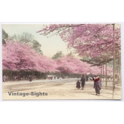 Tokyo / Japan: Ueno Park Cherry Blossoms Blooming Sakura (Vintage Hand Colored PC ~1910s)
