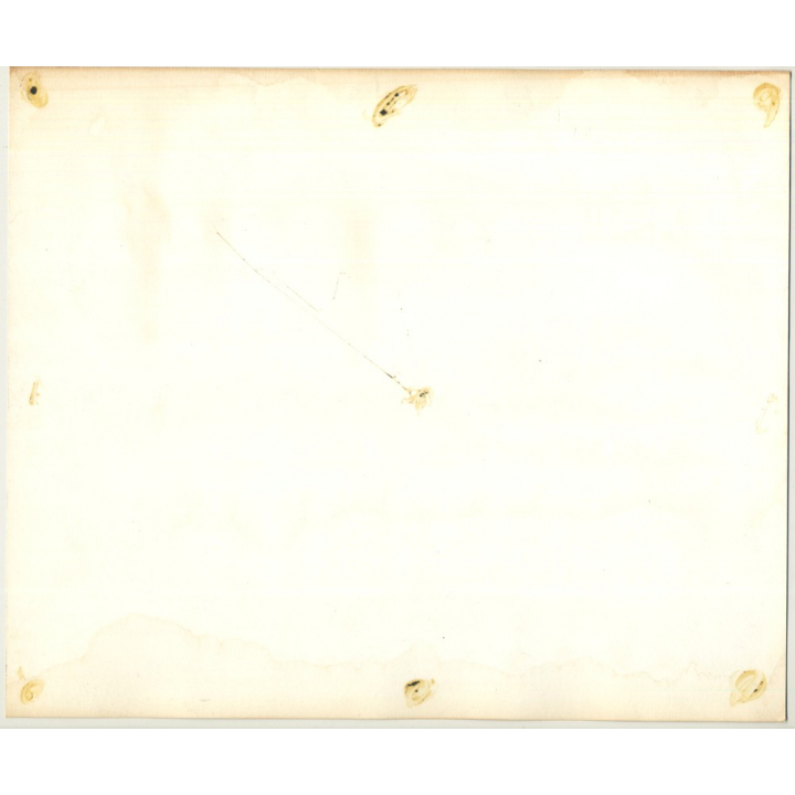 Beautiful Hippie Woman On Field / Headscarf (Large Vintage Fashion Photo 1970s)