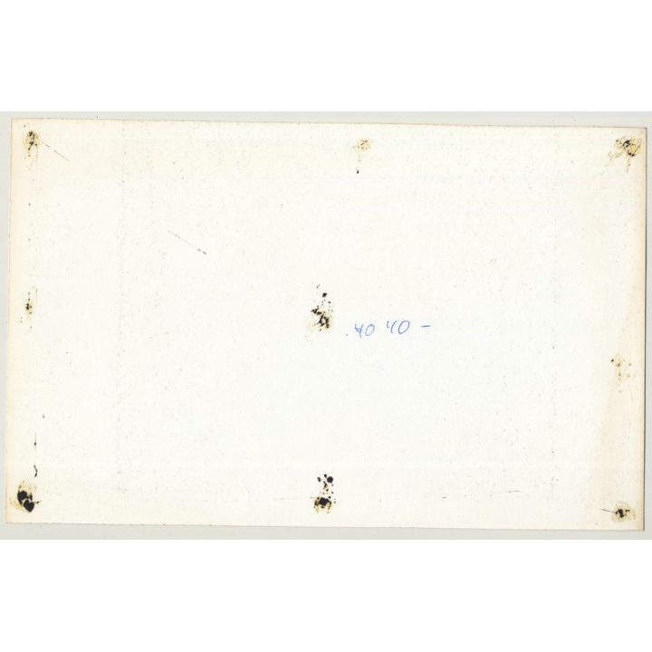 Darkhaired Beauty Rests On Wooden Bench (Large Vintage Photo Master 1980s)