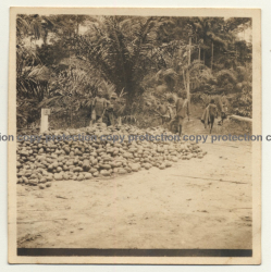 Congo-Belge: Indigenous Kids In Front Of Pile Of Cocoa Pods / Cacao (Vintage Photo ~1930s)