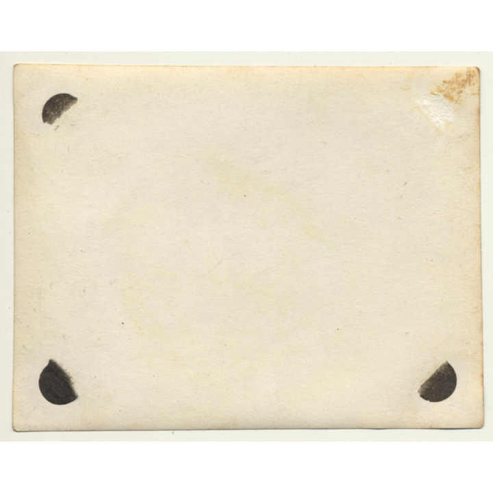 Congo-Belge: Indigenous Kids Harvest Cocoa Pods / Cacao (Vintage Photo ~1930s)