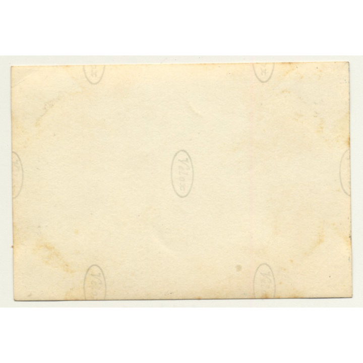 Congo-Belge: Farm In Elisabethville *4 / Construction (Vintage Photo ~1930s)