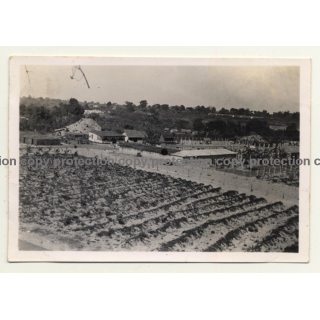 Congo-Belge: Farm In Elisabethville *6 / Overview (Vintage Photo ~1930s)