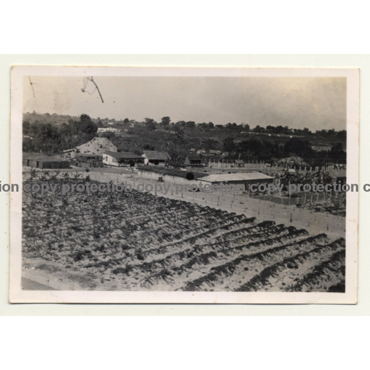 Congo-Belge: Farm In Elisabethville *6 / Overview (Vintage Photo ~1930s)