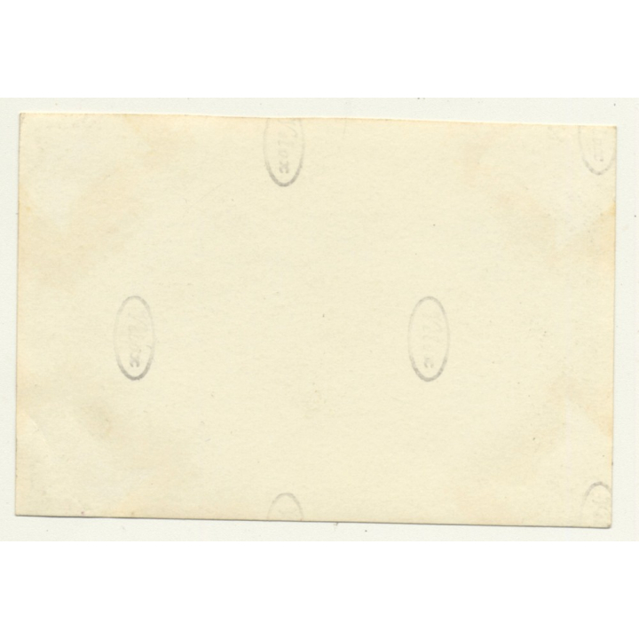 Congo-Belge: Farm In Elisabethville *8 / Overview (Vintage Photo ~1930s)