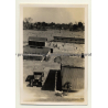Congo-Belge: Farm In Elisabethville *9 / Overview (Vintage Photo ~1930s)
