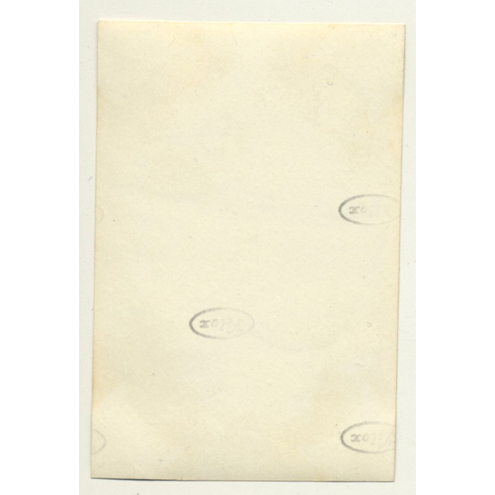 Congo-Belge: Farm In Elisabethville *9 / Overview (Vintage Photo ~1930s)