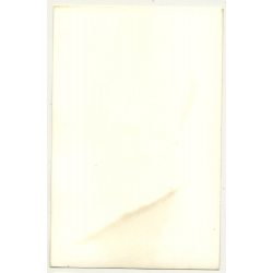 Cheeky Busty Semi Nude Curlyhead *2 / Jeans - Photo Wallpaper (Vintage Photo B/W GDR 1970s)