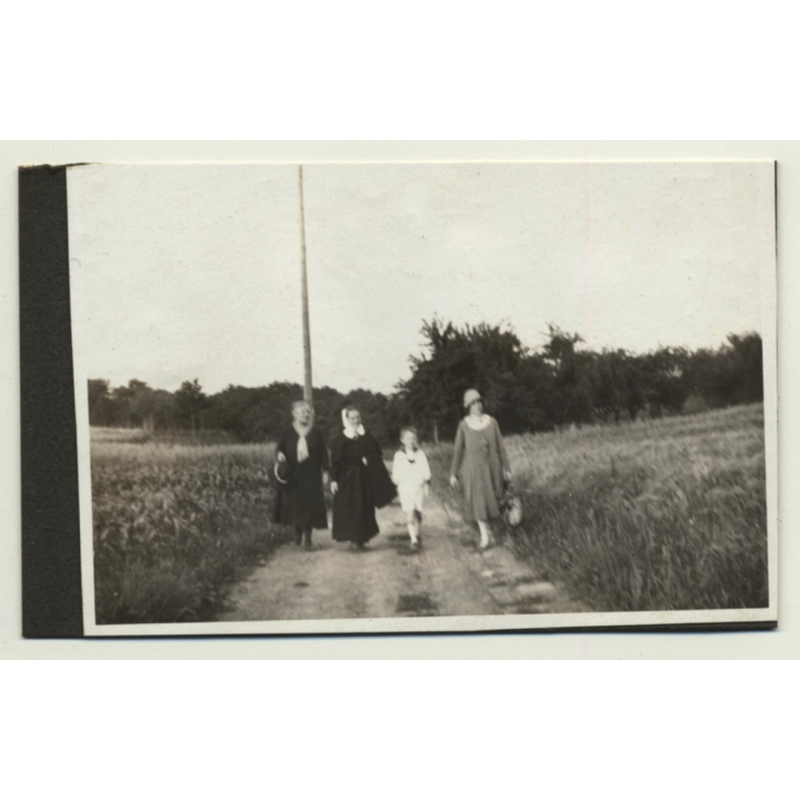Stuttgart / Germany: Blick Vom Oberen Wannenweg / Panorama (Vintage Photo B/W 1931)