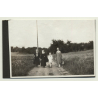 Stuttgart / Germany: Blick Vom Oberen Wannenweg / Panorama (Vintage Photo B/W 1931)