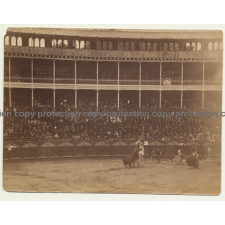 San Sebastián / Saint Sébastien: Corrida / Plaza De Toros  (Vintage Photo Sepia ~ 1910)