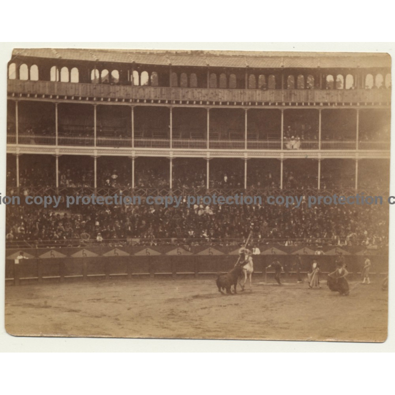 San Sebastián / Saint Sébastien: Corrida / Plaza De Toros  (Vintage Photo Sepia ~ 1910)