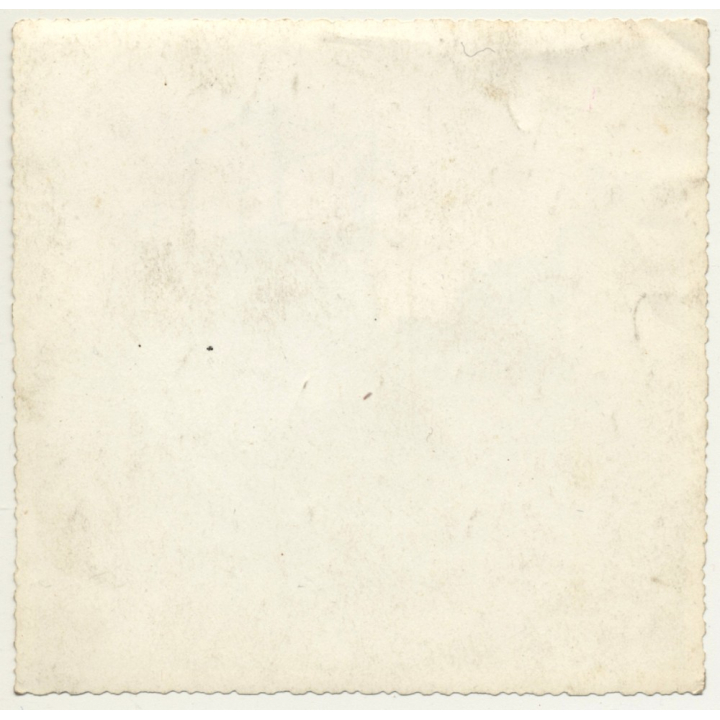 Male High Diver Jumps From Diving Platform / Header (Vintage Photo ~1940s)