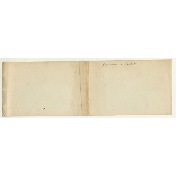 Congo - Belge: Restauration Of A Porch / Builders (Vintage Photo Sepia 1913)