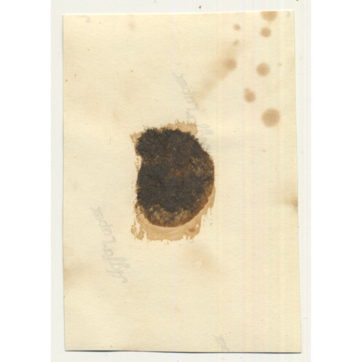 Congo - Belge: Indigenous Merchants In Dugouts Next To Barge (Vintage Photo ~1920s/1930s)