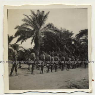 Congo - Belge: Public Force Soldiers Lined Up in Order / Rifles (Vintage Photo ~1920s/1930s)