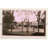 Australia: Loxton From Rotunda / Oldtimer (Vintage RPPC B/W)