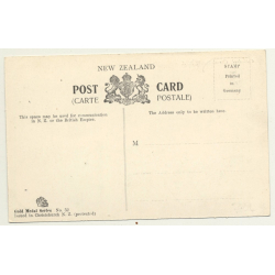 Christchurch / New Zealand: Cathedral (Vintage Postcard B/W)