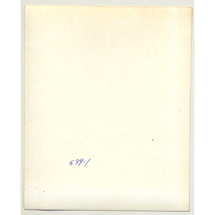 Racy Brunette Female Tied To Tree *2 / Bondage - BDSM (Vintage Photo USA ~1970s)