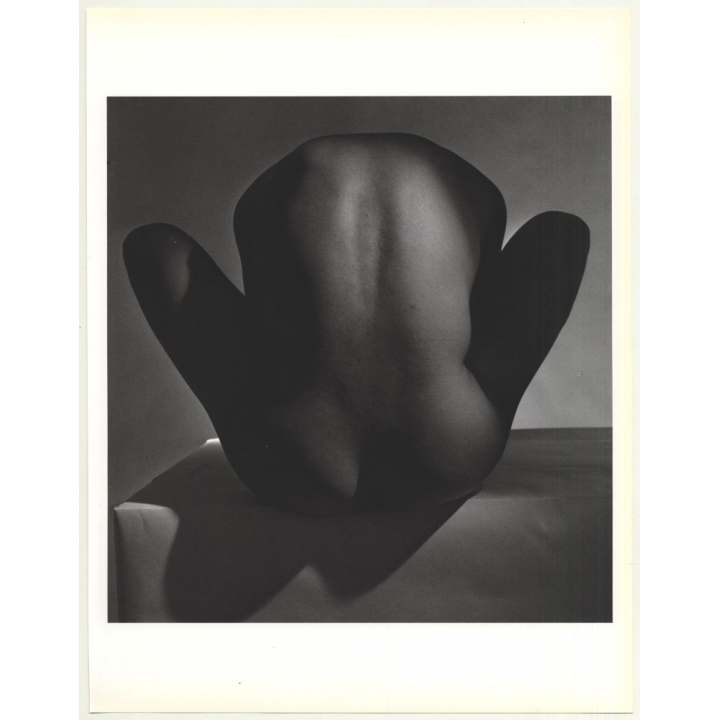 Male Nude Study / Gay INT (1992 Sheet From Book: Form Horst / Bohrmann)