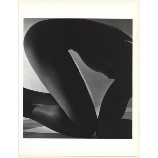 Male Nude Study *3 / Gay INT (1992 Sheet From Book: Form Horst / Bohrmann)