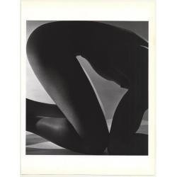 Male Nude Study *3 / Gay INT (1992 Sheet From Book: Form Horst / Bohrmann)