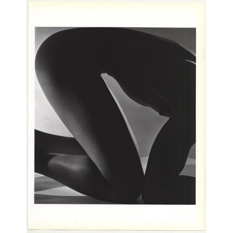 Male Nude Study *3 / Gay INT (1992 Sheet From Book: Form Horst / Bohrmann)