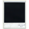 Photo Art: Wall / Gate Study - Surfaces (Vintage Polaroid 1980s)