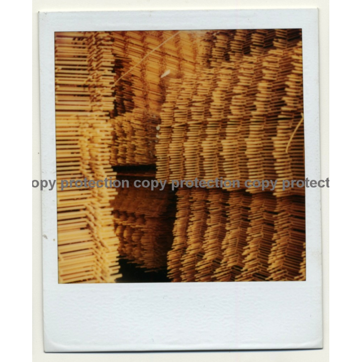 Photo Art: Wood Frames (Vintage Polaroid SX-70 1980s)