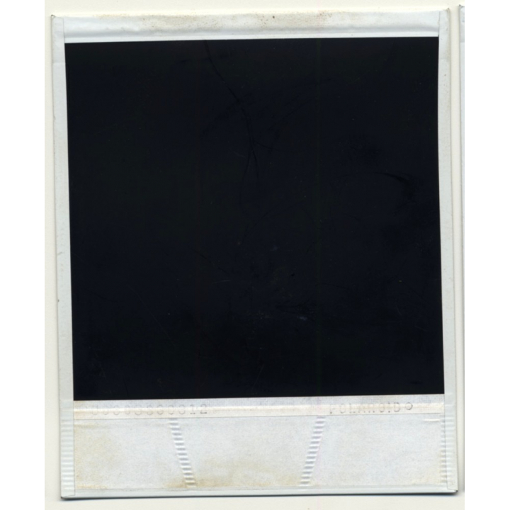 Photo Art: Wood Frames (Vintage Polaroid SX-70 1980s)