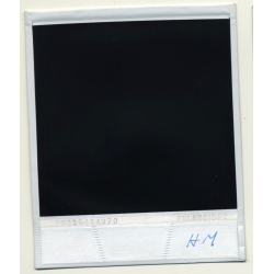 Photo Art: Wood Frames (Vintage Polaroid SX-70 1980s)