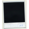 Photo Art: Wood Frames (Vintage Polaroid SX-70 1980s)