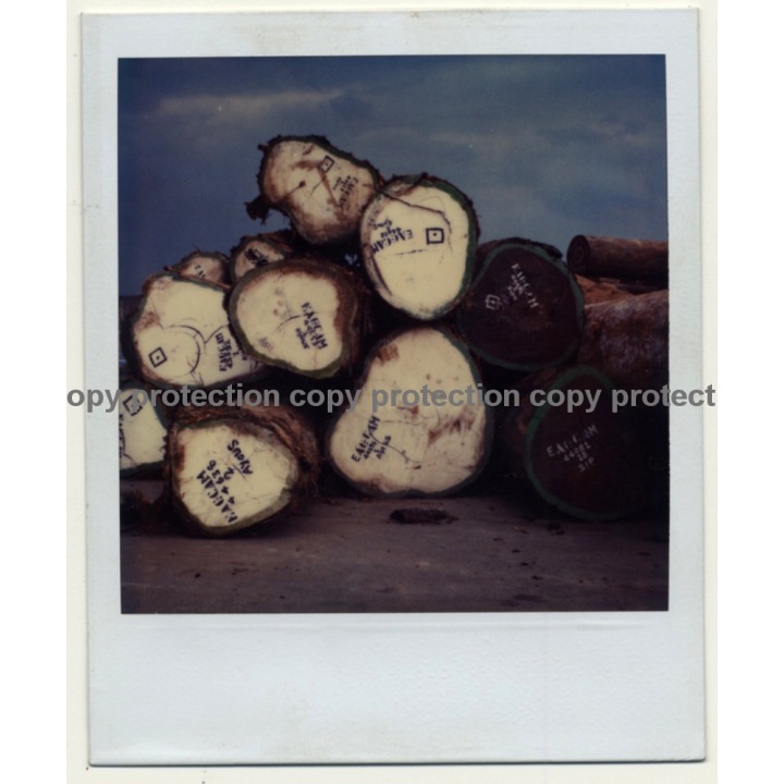 Photo Art: Wooden Logs II (Vintage Polaroid SX-70 1980s)