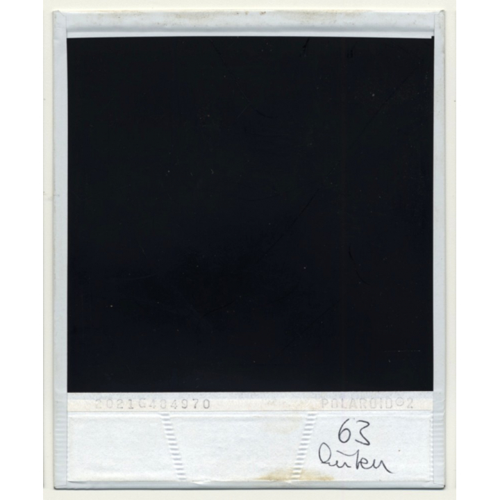 Photo Art: Wooden Logs II (Vintage Polaroid SX-70 1980s)