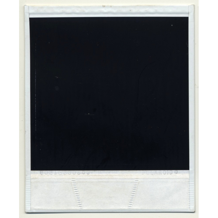 Photo Art: Wooden Logs III (Vintage Polaroid SX-70 1980s)