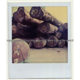 Photo Art: Wood Logs IV (Vintage Polaroid SX-70 1980s)