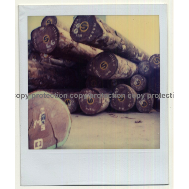 Photo Art: Wood Logs IV (Vintage Polaroid SX-70 1980s)