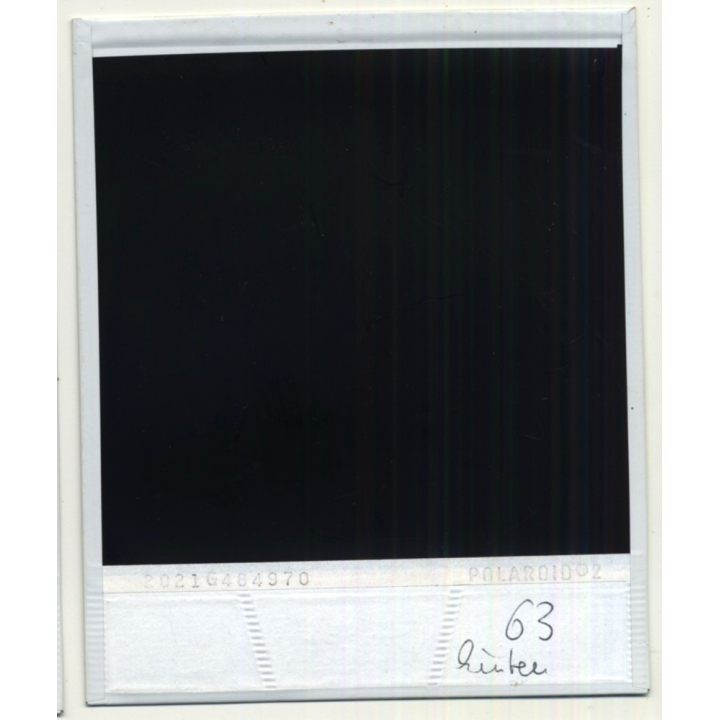 Photo Art: Wood Logs IV (Vintage Polaroid SX-70 1980s)