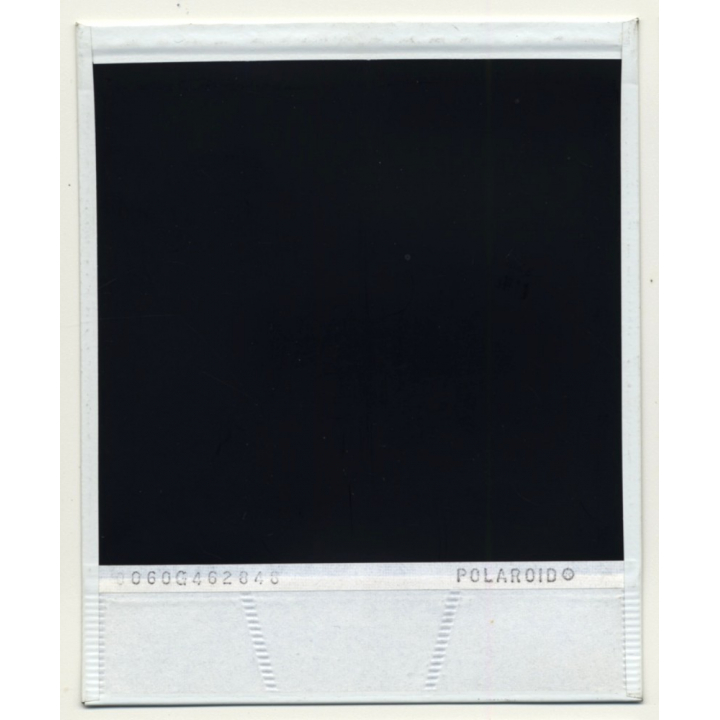 Photo Art: Opuntia Ficus-Indica (Vintage Polaroid SX-70 1980s)