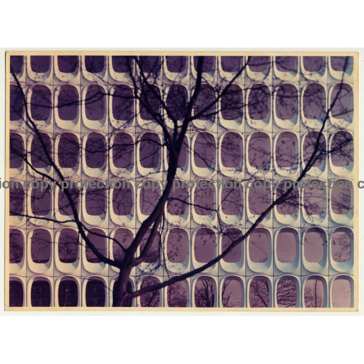 Bruxelles: Caisse Générale D'Epargne Et De Retraite / Detail: Concrete Facade (Vintage Photo Robert Martin)